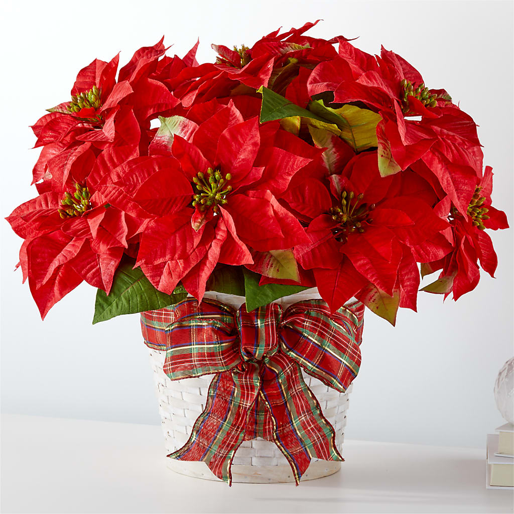 Happiest Holidays Poinsettia – Executive Flowers, El Paso TX