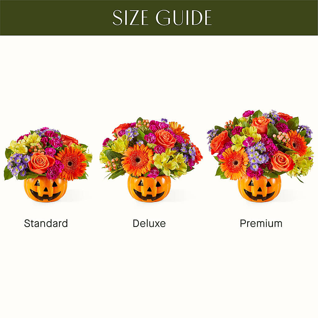 Tricks & Treats Pumpkin – Executive Flowers, El Paso TX
