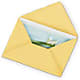 Greeting Card – Executive Flowers, El Paso TX