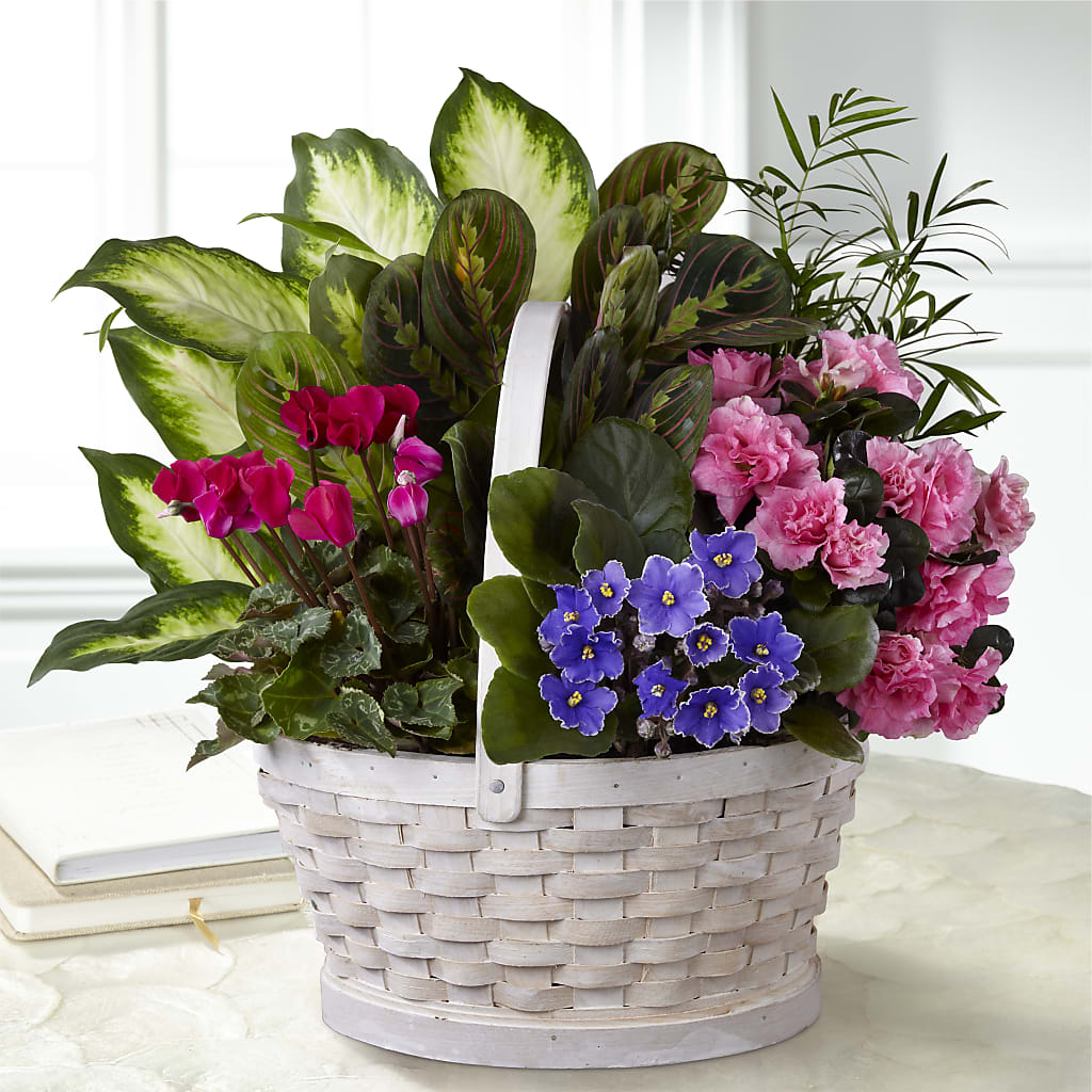 Peaceful Garden Planter – Executive Flowers, El Paso TX