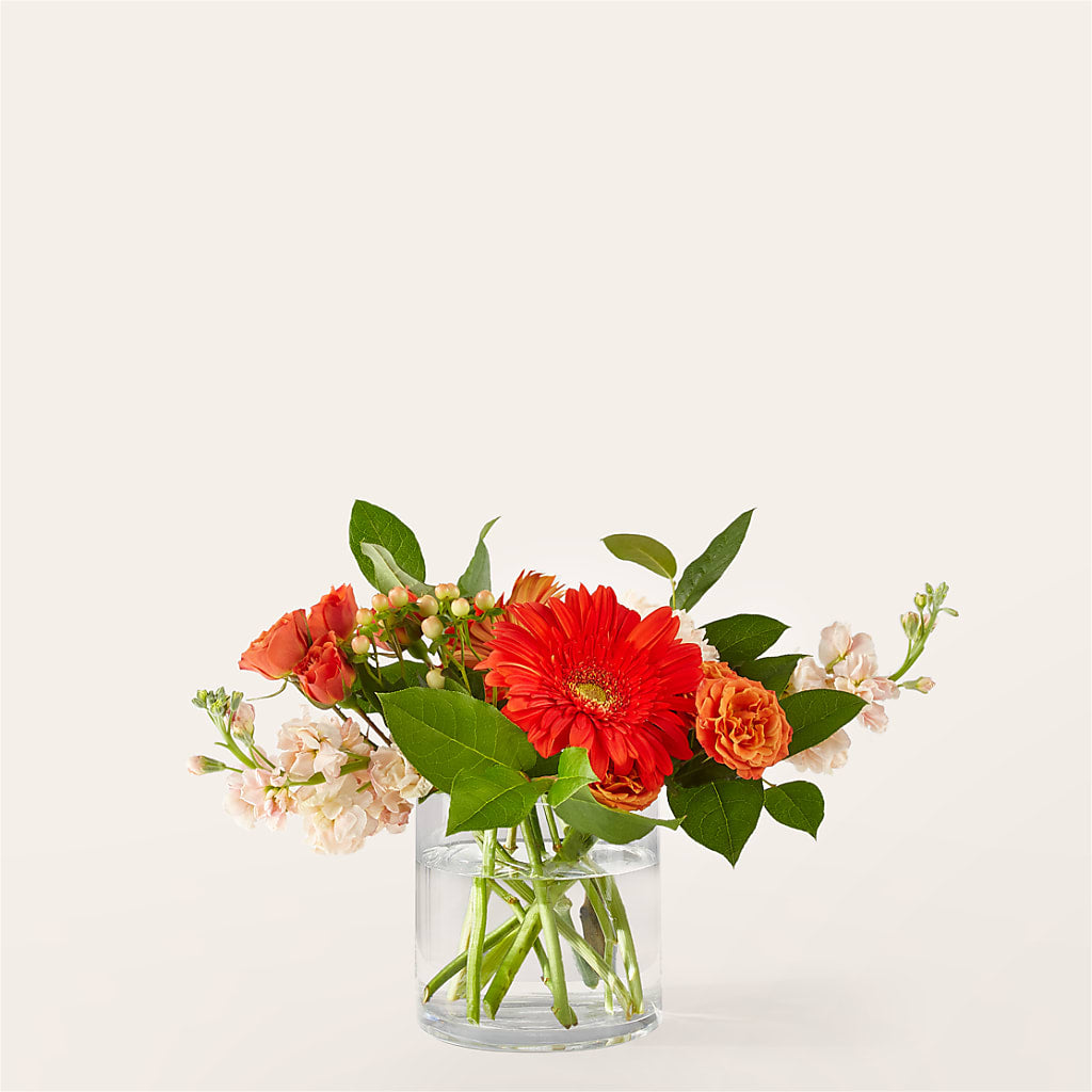 Paloma Please Bouquet – Executive Flowers, El Paso TX