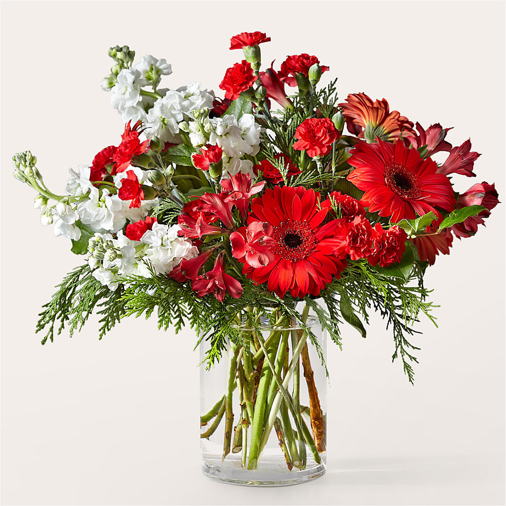 Holidaisy Bouquet – Executive Flowers, El Paso TX
