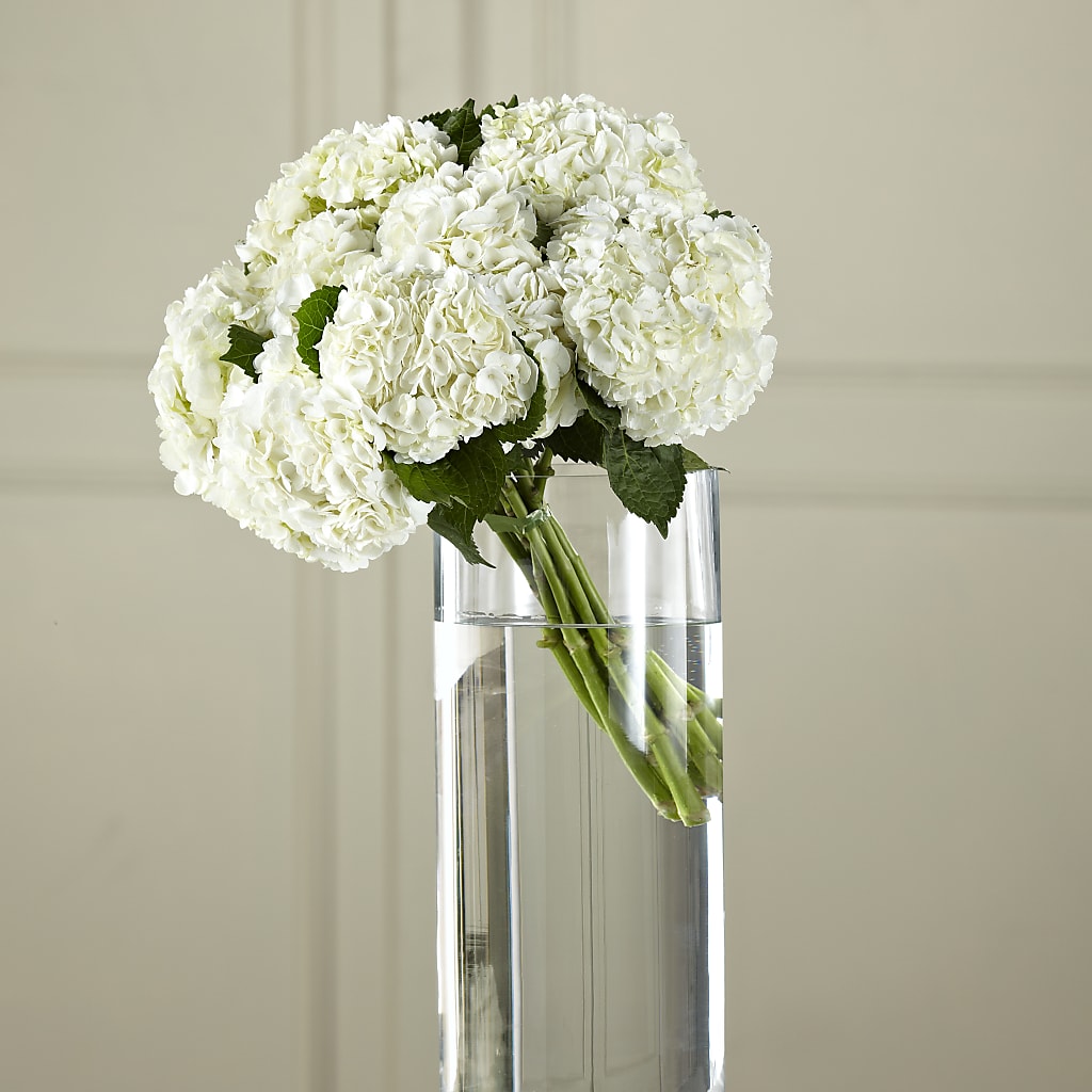 White Hydrangea Hand-Tied Bouquet – Executive Flowers, El Paso TX