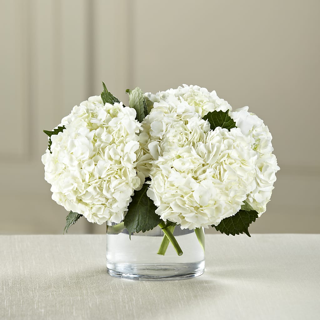White Hydrangea Bouquet – Executive Flowers, El Paso TX
