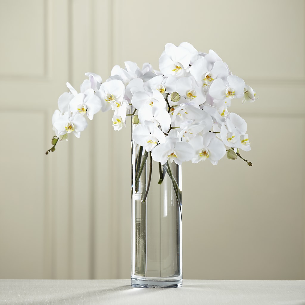 White Phalaenopsis Bouquet – Executive Flowers, El Paso TX