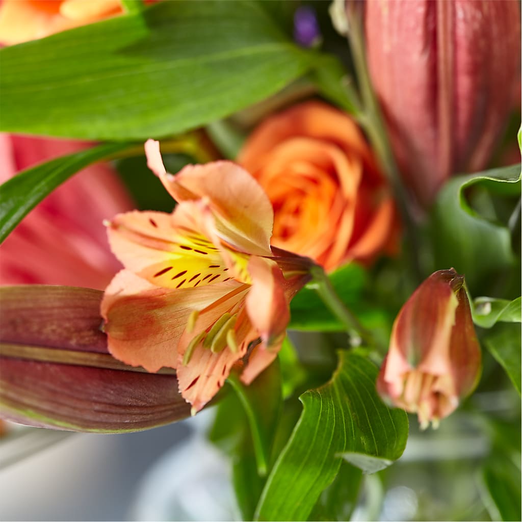 Bold & Bright – A Florist Original –  Executive Flowers, El Paso TX