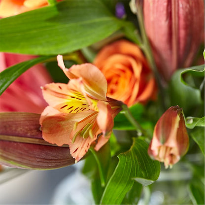 Bold & Bright – A Florist Original –  Executive Flowers, El Paso TX