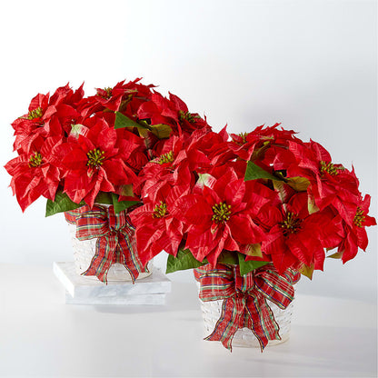 Happiest Holidays Poinsettia Bundle –  Executive Flowers, El Paso TX