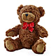 Adorable Plush Bear –  Executive Flowers, El Paso TX