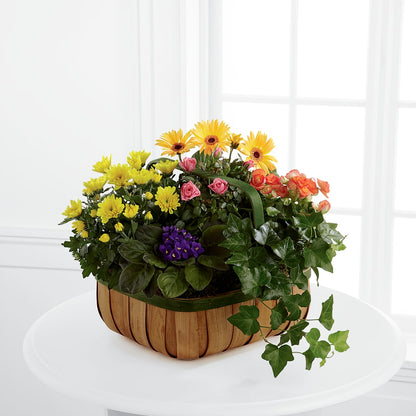 Gentle Blossoms Basket –  Executive Flowers, El Paso TX