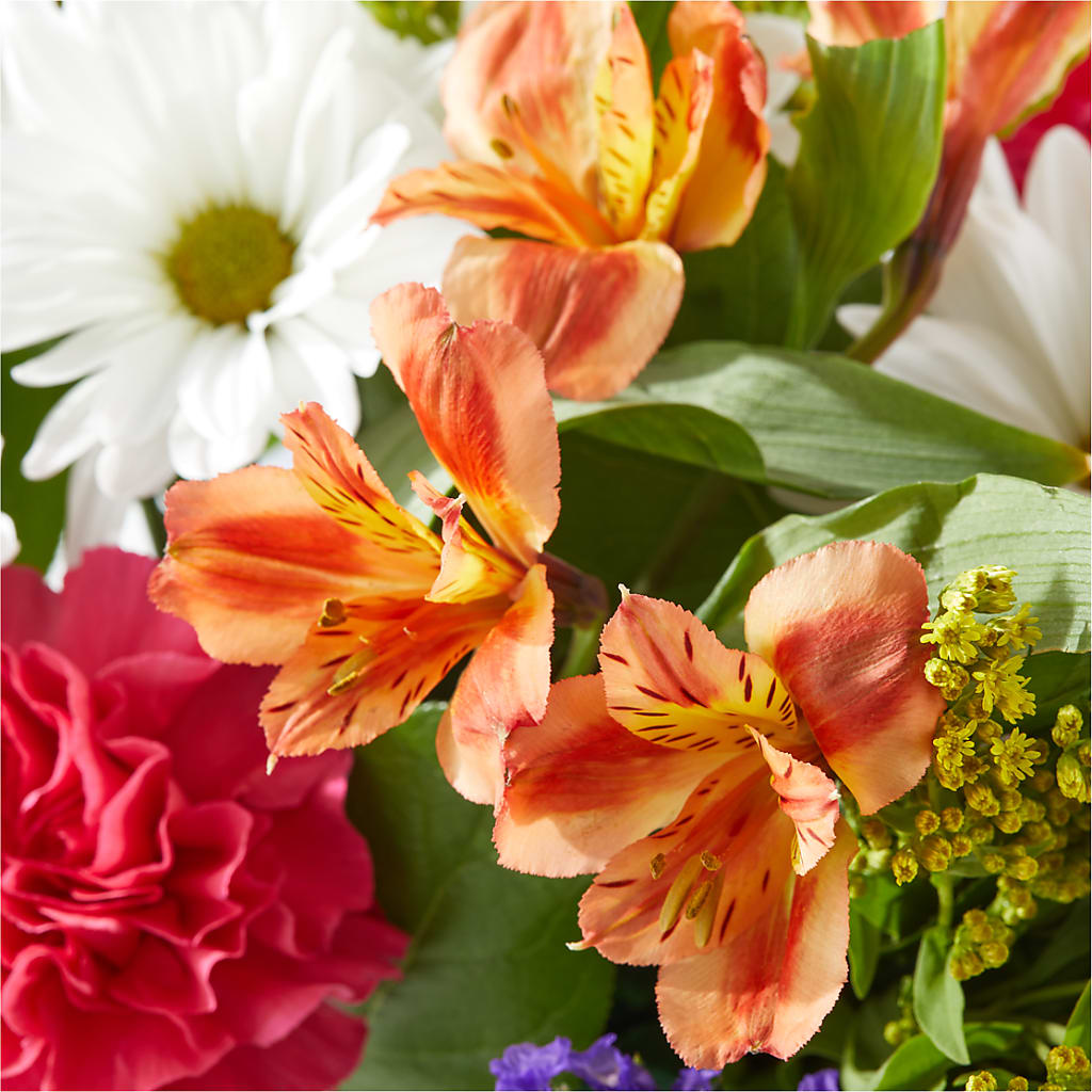 Oopsie Daisy Box Bouquet –  Executive Flowers, El Paso TX