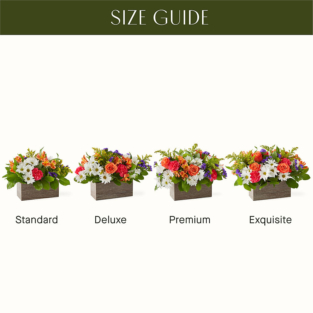 Oopsie Daisy Box Bouquet –  Executive Flowers, El Paso TX