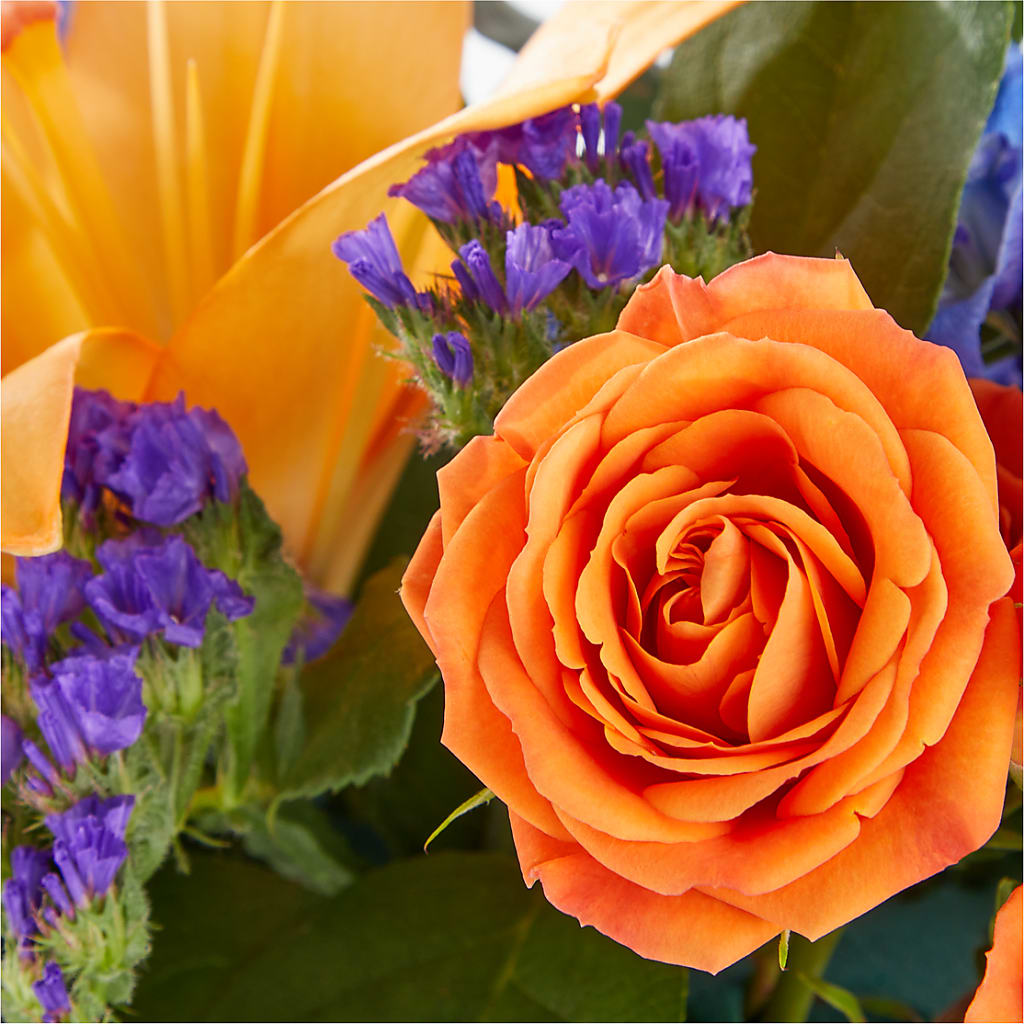 Radiant Citrus Box Bouquet –  Executive Flowers, El Paso TX