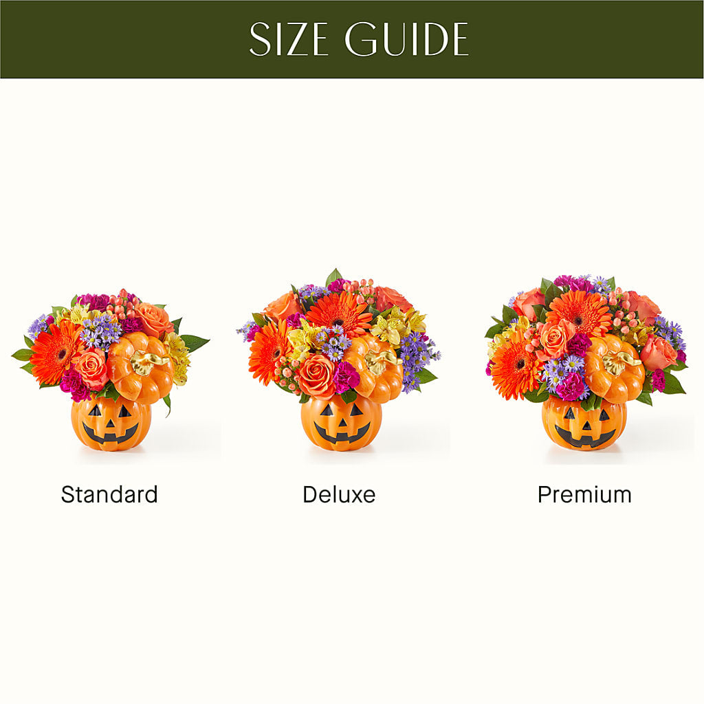 Tricks & Treats Pumpkin –  Executive Flowers, El Paso TX