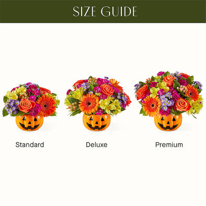 Tricks & Treats Pumpkin –  Executive Flowers, El Paso TX