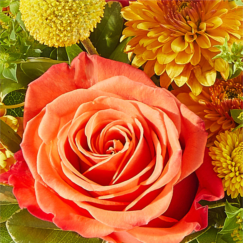 Gourdgeous Pumpkin –  Executive Flowers, El Paso TX