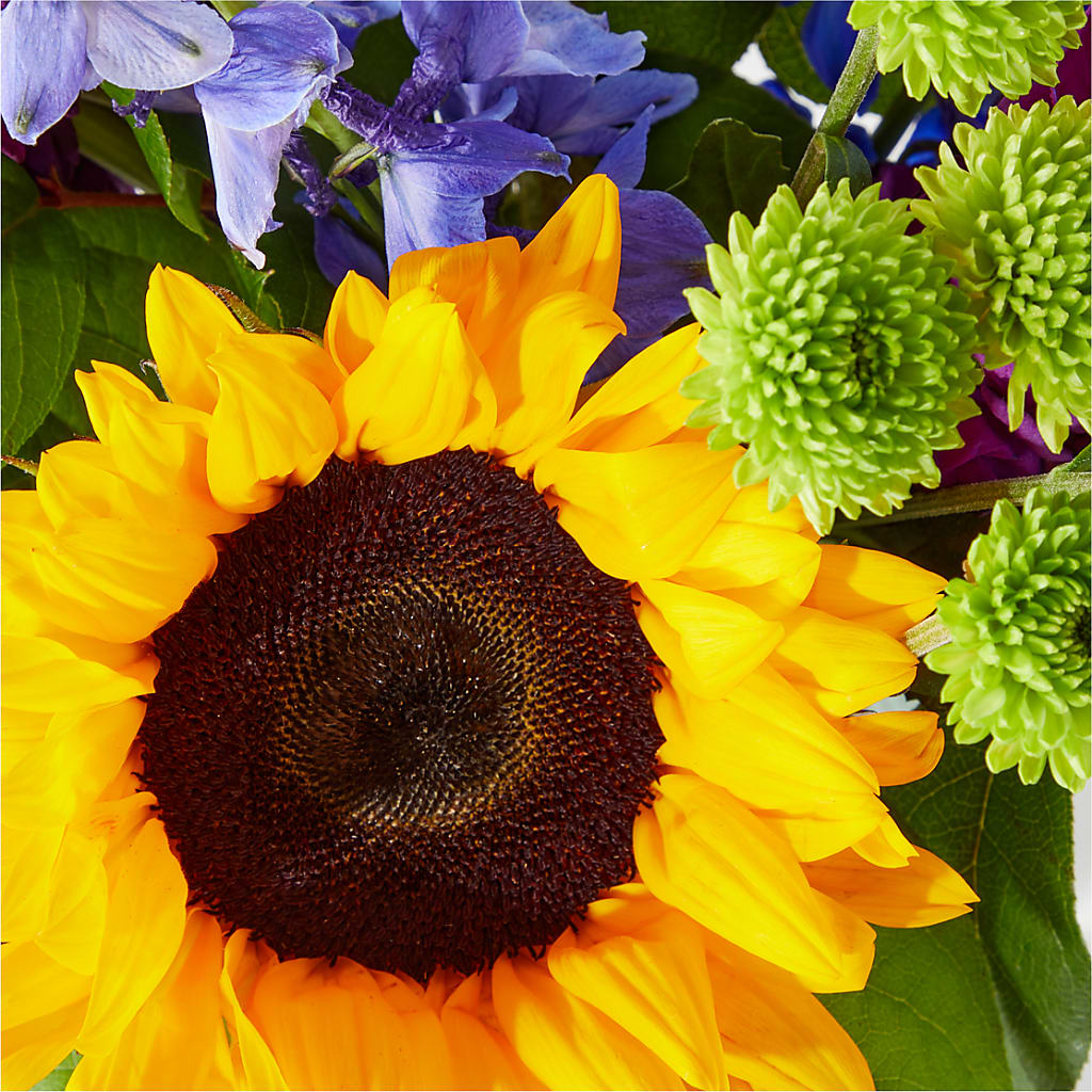 Catching Rays Bouquet –  Executive Flowers, El Paso TX