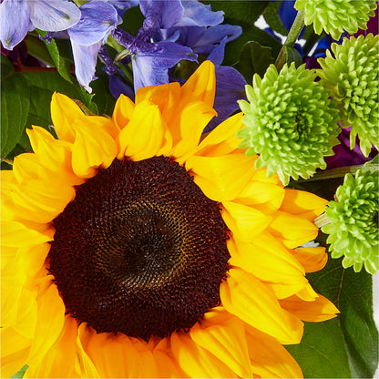 Catching Rays Bouquet –  Executive Flowers, El Paso TX