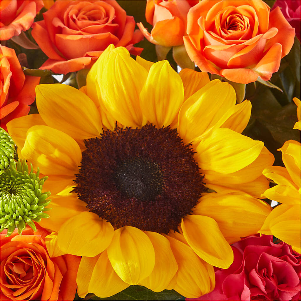 Sun-drenched Blooms Box Bouquet –  Executive Flowers, El Paso TX