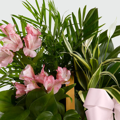 Living Spirit Dishgarden –  Executive Flowers, El Paso TX