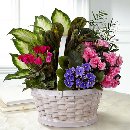 Peaceful Garden Planter –  Executive Flowers, El Paso TX
