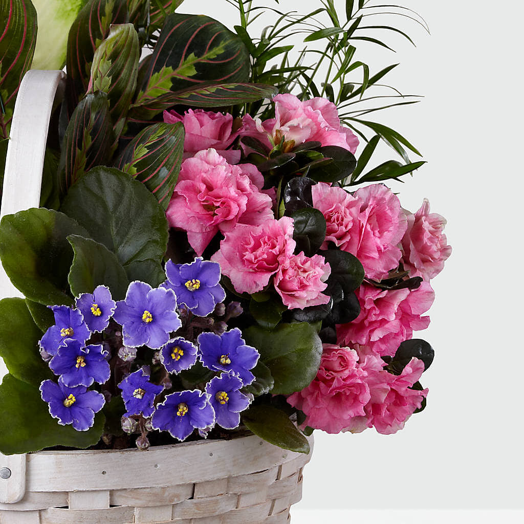 Peaceful Garden Planter –  Executive Flowers, El Paso TX