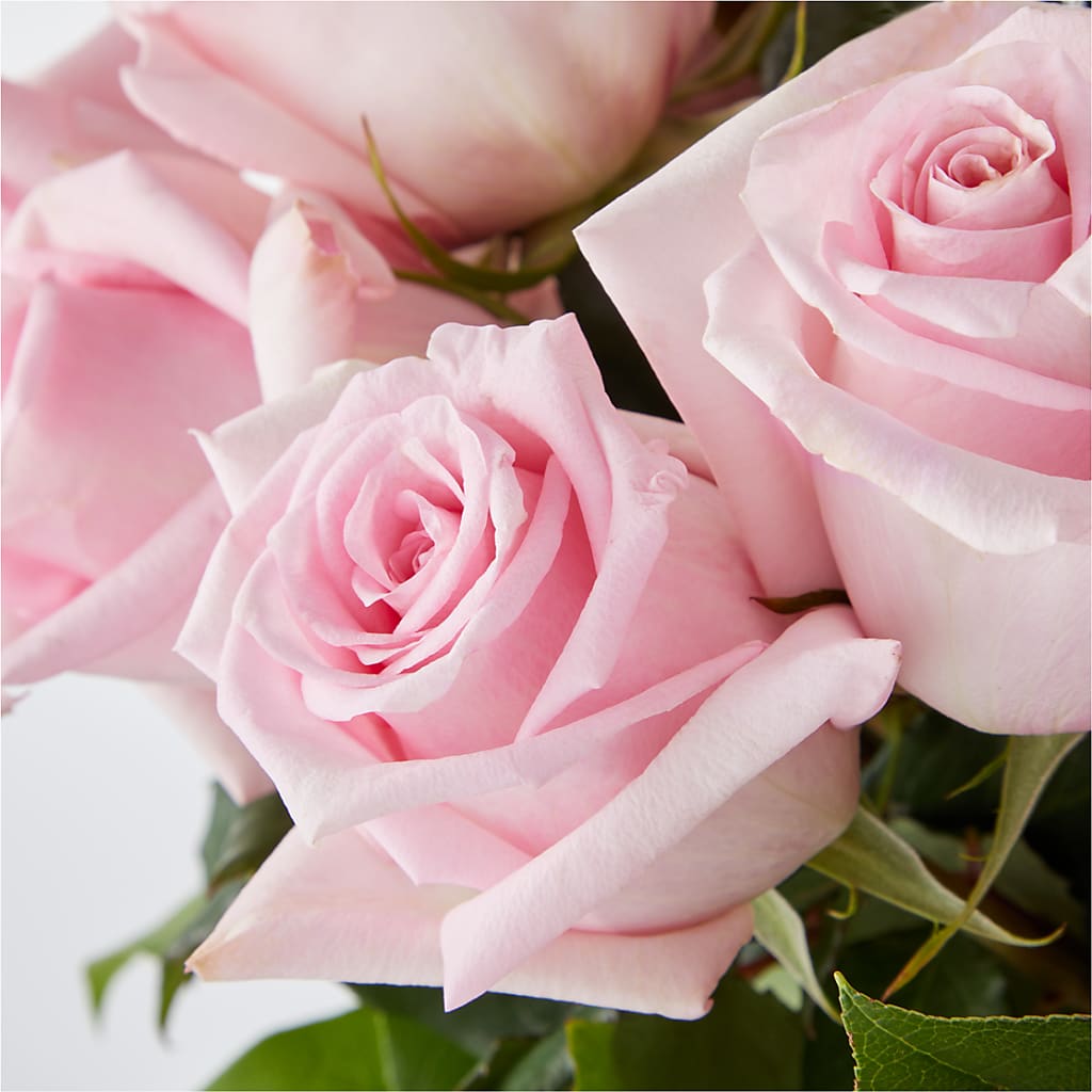 Picture Perfect Pink Rose Bouquet –  Executive Flowers, El Paso TX