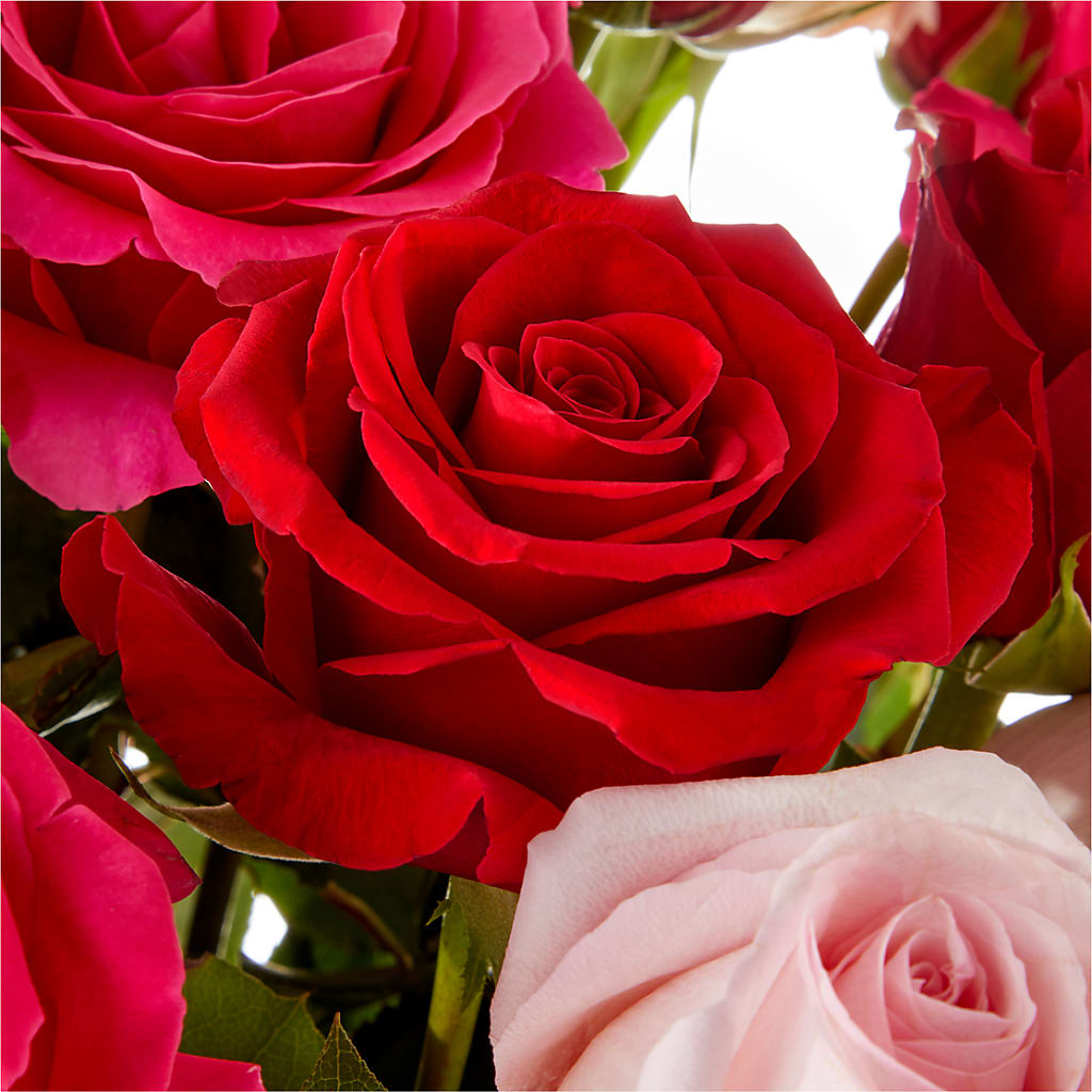 Love Notes Rose Bouquet –  Executive Flowers, El Paso TX