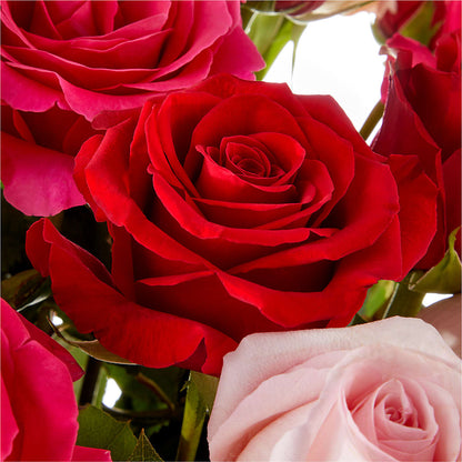 Love Notes Rose Bouquet –  Executive Flowers, El Paso TX