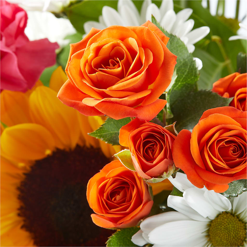 Sun-drenched Blooms Bouquet –  Executive Flowers, El Paso TX