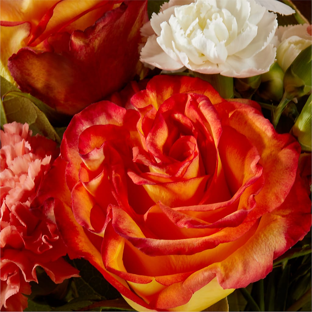 Apricot Glow Bouquet –  Executive Flowers, El Paso TX