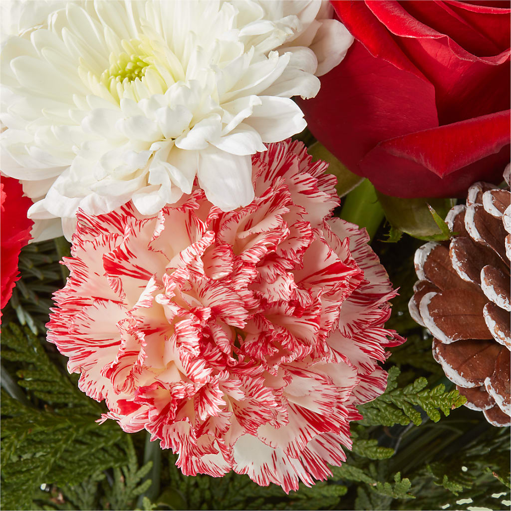 Candy Cane Lane Bouquet –  Executive Flowers, El Paso TX