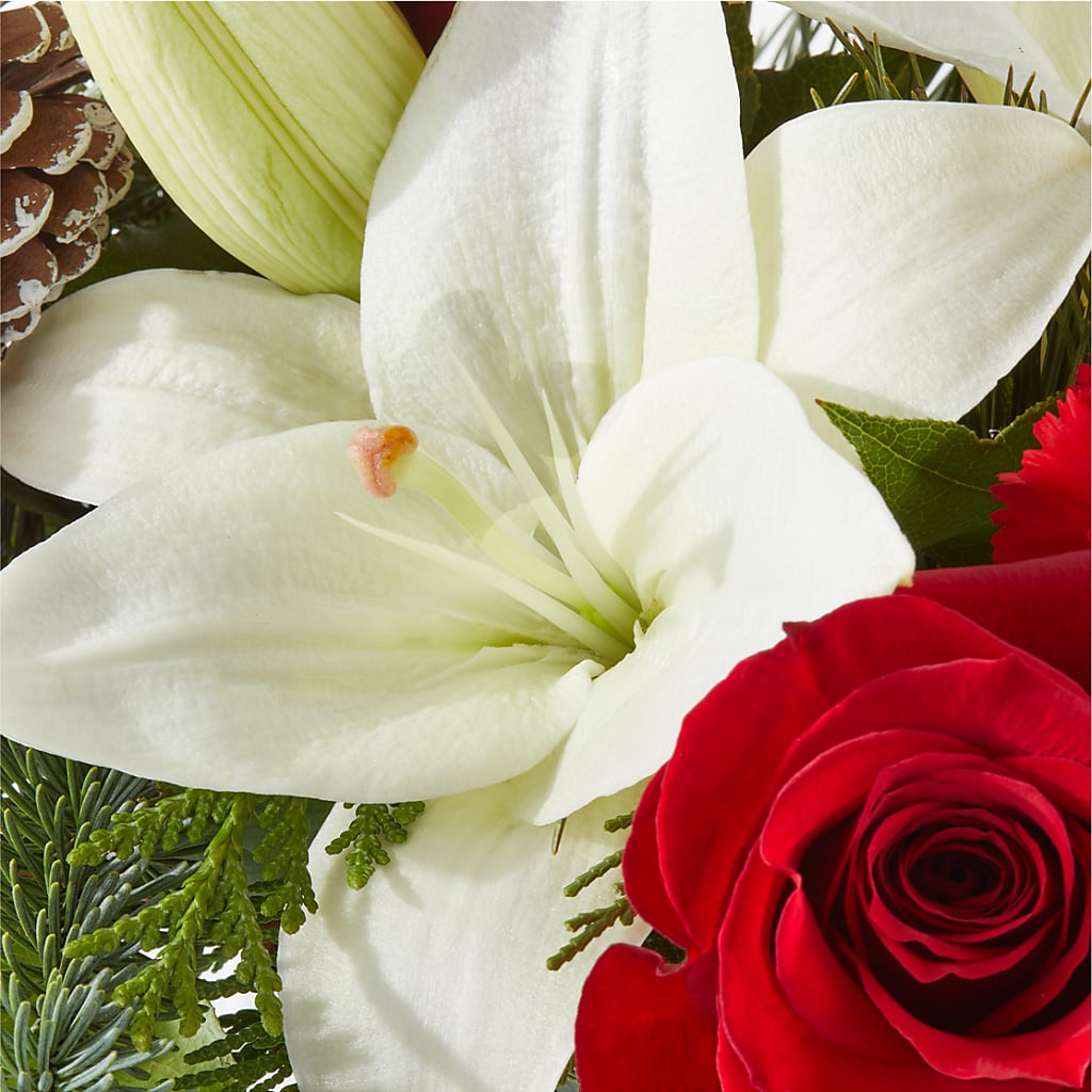 Oh So Jolly Bouquet –  Executive Flowers, El Paso TX