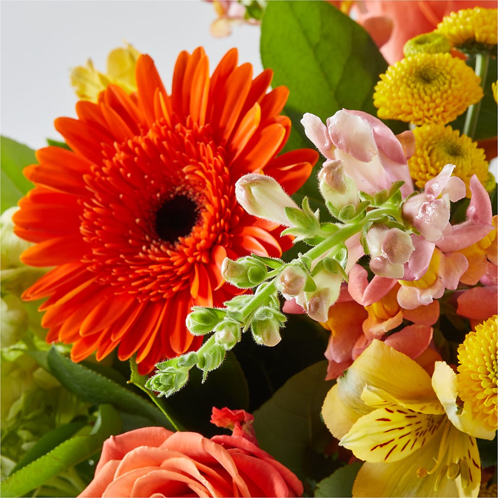 Autumn Sunshine Bouquet –  Executive Flowers, El Paso TX