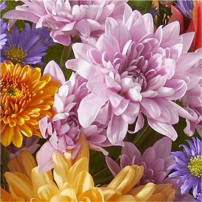 Countryside Bouquet –  Executive Flowers, El Paso TX