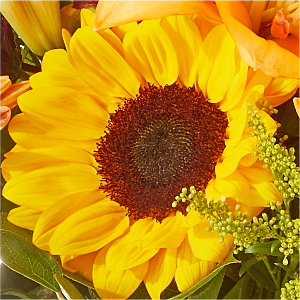 Seasons Change Bouquet –  Executive Flowers, El Paso TX