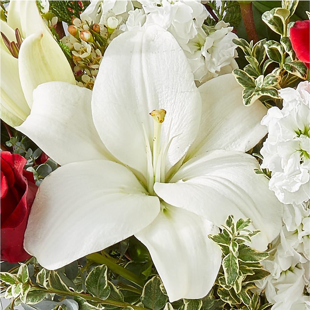Twinkle Lights Bouquet –  Executive Flowers, El Paso TX