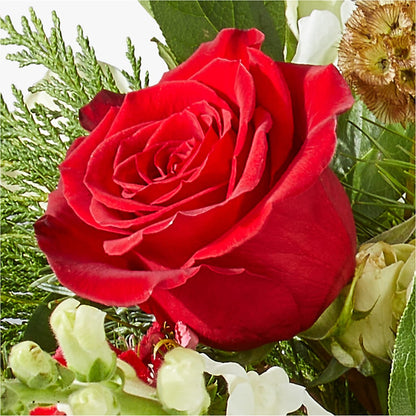 Deck the Halls Bouquet –  Executive Flowers, El Paso TX