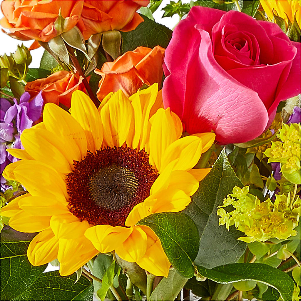 Vibrant Greetings Bouquet –  Executive Flowers, El Paso TX
