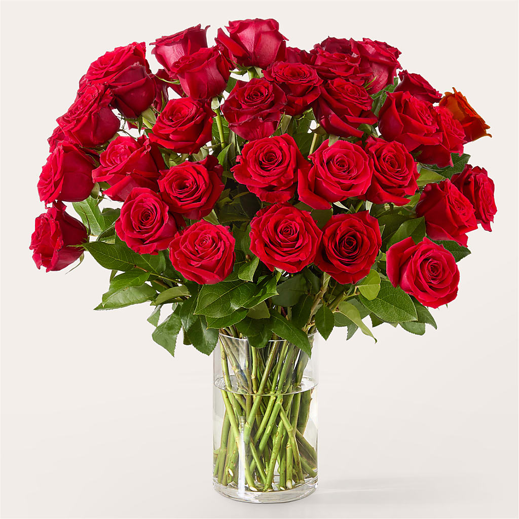 The One Red Rose Bouquet –  Executive Flowers, El Paso TX