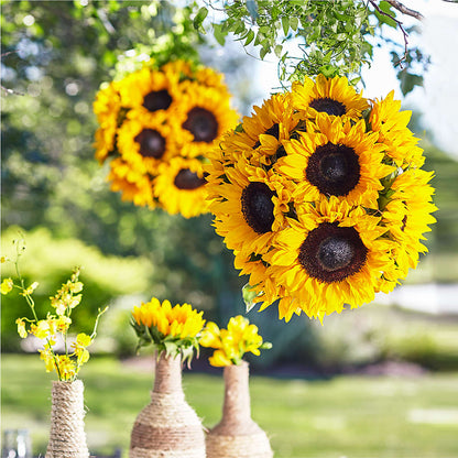 Sublime Garden Hanging Arrangement –  Executive Flowers, El Paso TX