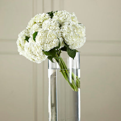 White Hydrangea Hand-Tied Bouquet –  Executive Flowers, El Paso TX