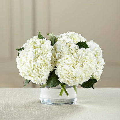 White Hydrangea Bouquet –  Executive Flowers, El Paso TX