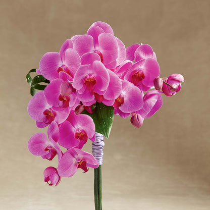 Glorious Bouquet –  Executive Flowers, El Paso TX