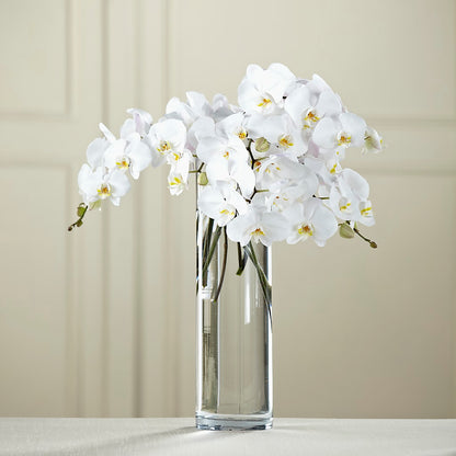 White Phalaenopsis Bouquet –  Executive Flowers, El Paso TX
